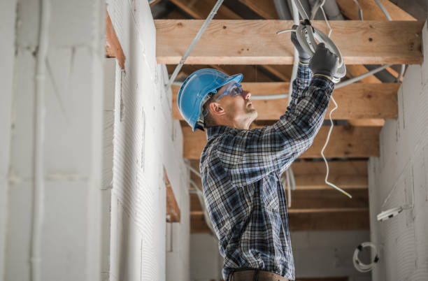 Best Electrical Wiring Services  in Woodbine, NJ